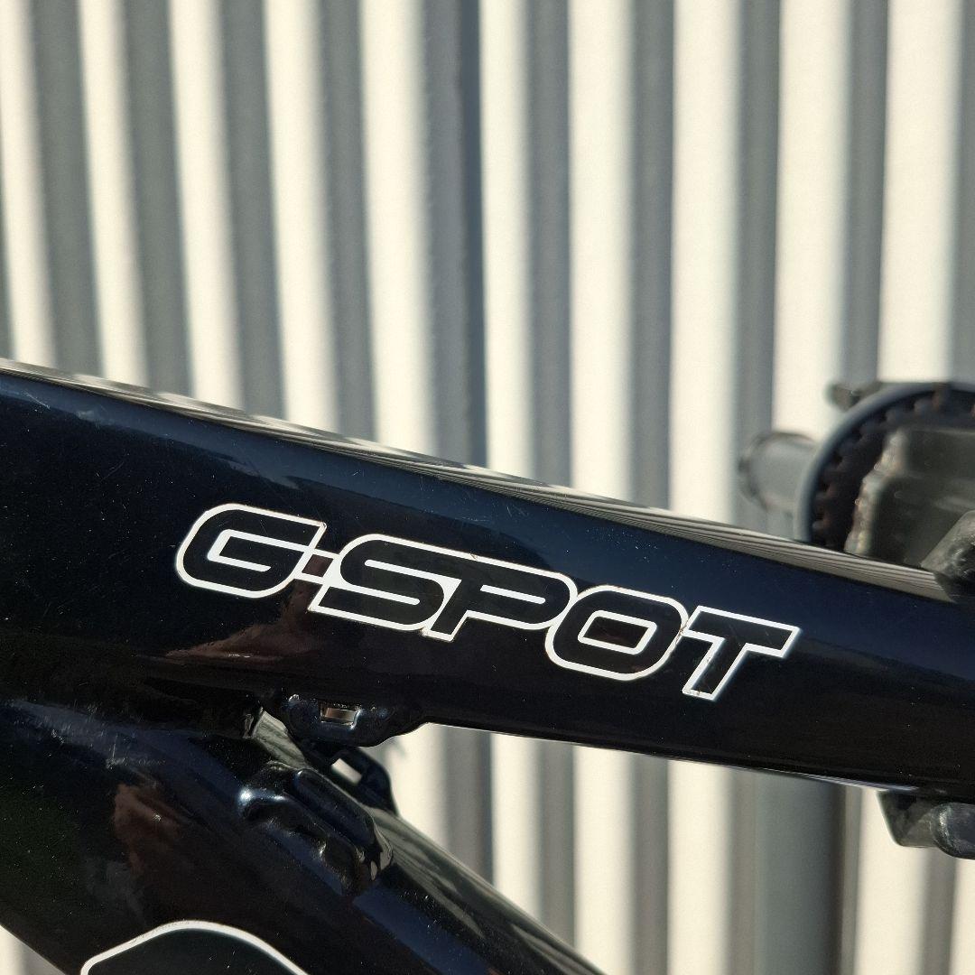 COVE G-SPOT Sサイズ フレーム