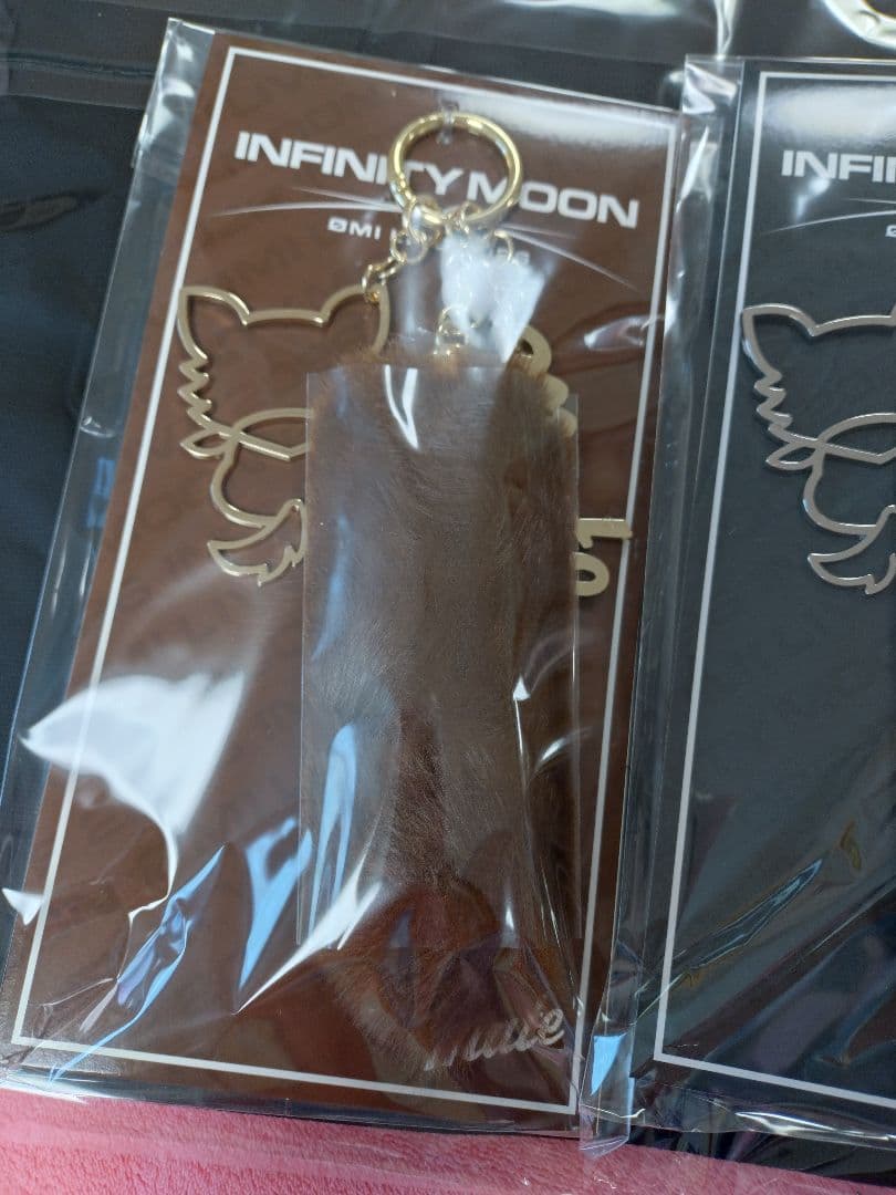 三代目JSB OMILIVEグッズ バック　チワワチャーム