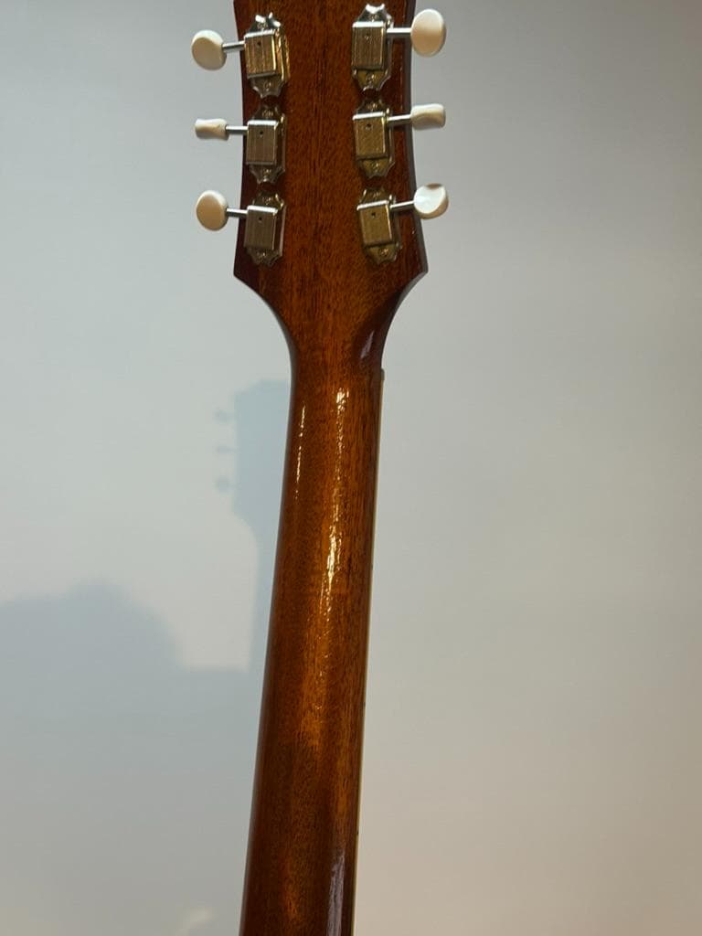 ギター KING SNAKE Curtis / H Deep Body