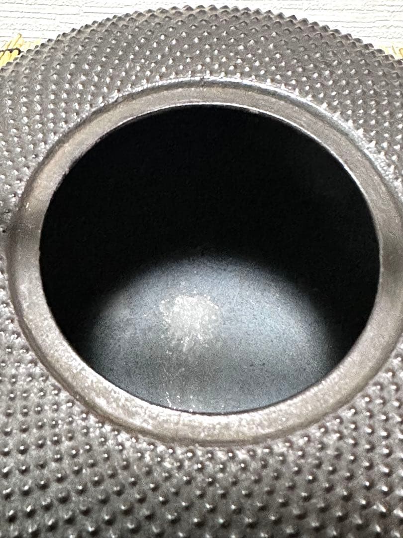 供箱等付属品付　南部藤枝工房　藤枝　昌行作　１２型アラレ　南部鉄瓶　南部鉄器