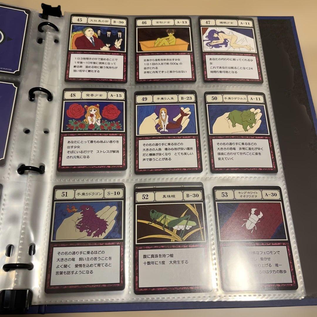 グリードアイランドパーフェクトコレクタブルセット