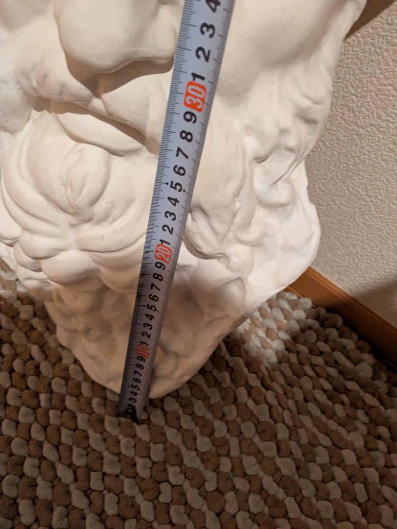 石膏像　モーゼ大顔面