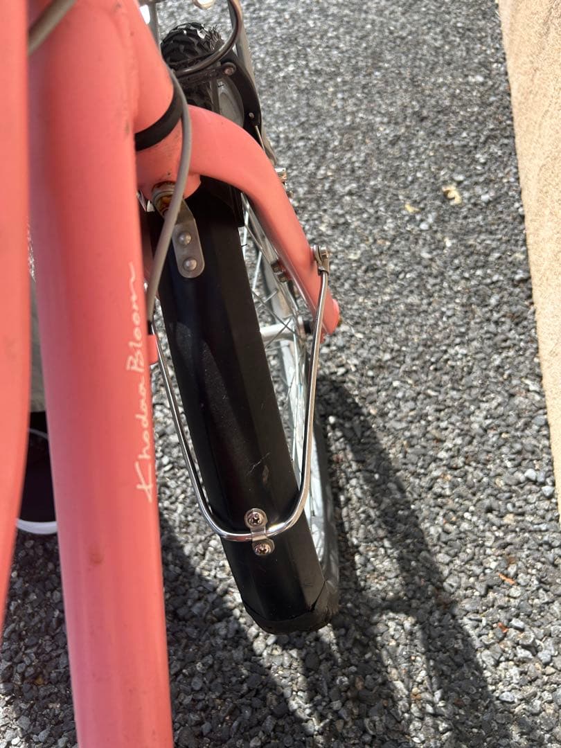 【きち】コーダーブルーム　asson j22 アッソン