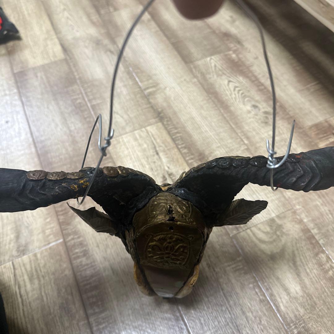 チベタンスカル　山羊　モンクスカル　チベット　法具　チベタンゴート　頭蓋骨