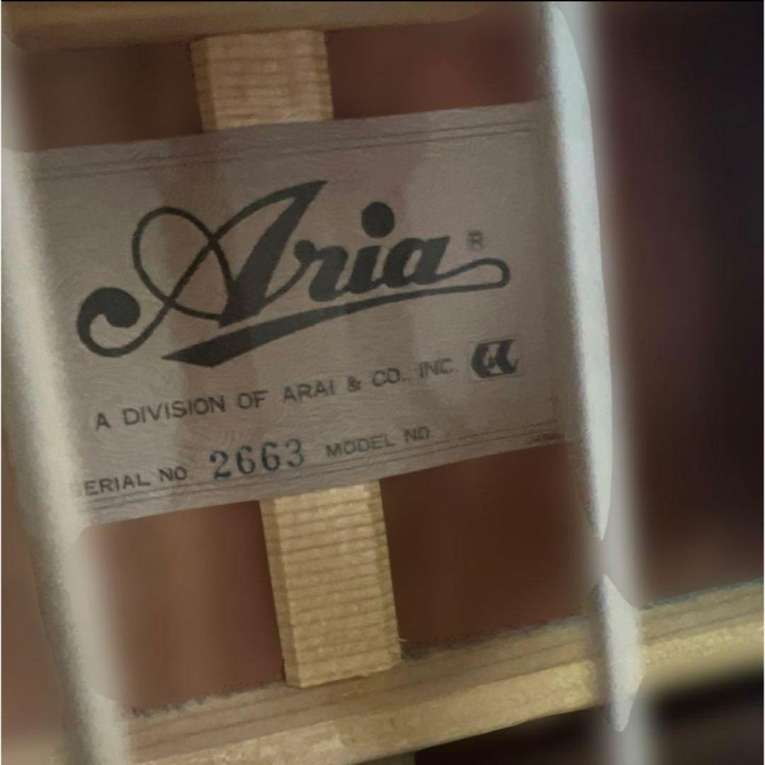 【美品】Aria&Co. アコースティックギター ヴィンテージ