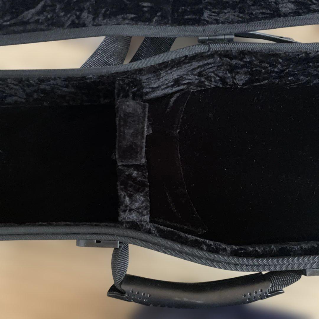 GEWA バイオリンケース