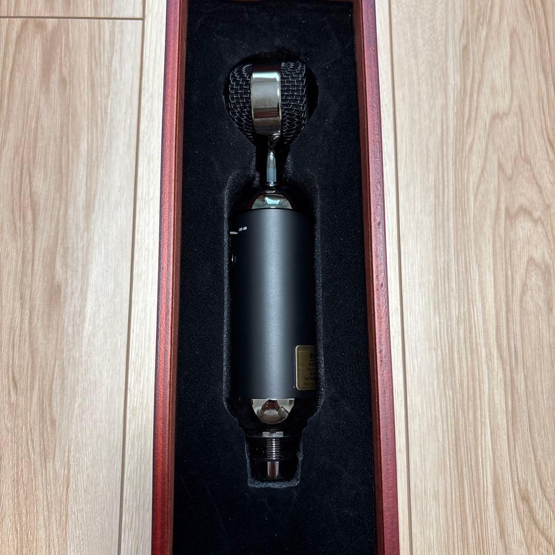 Blue spark sl マイク 専用ケース付き