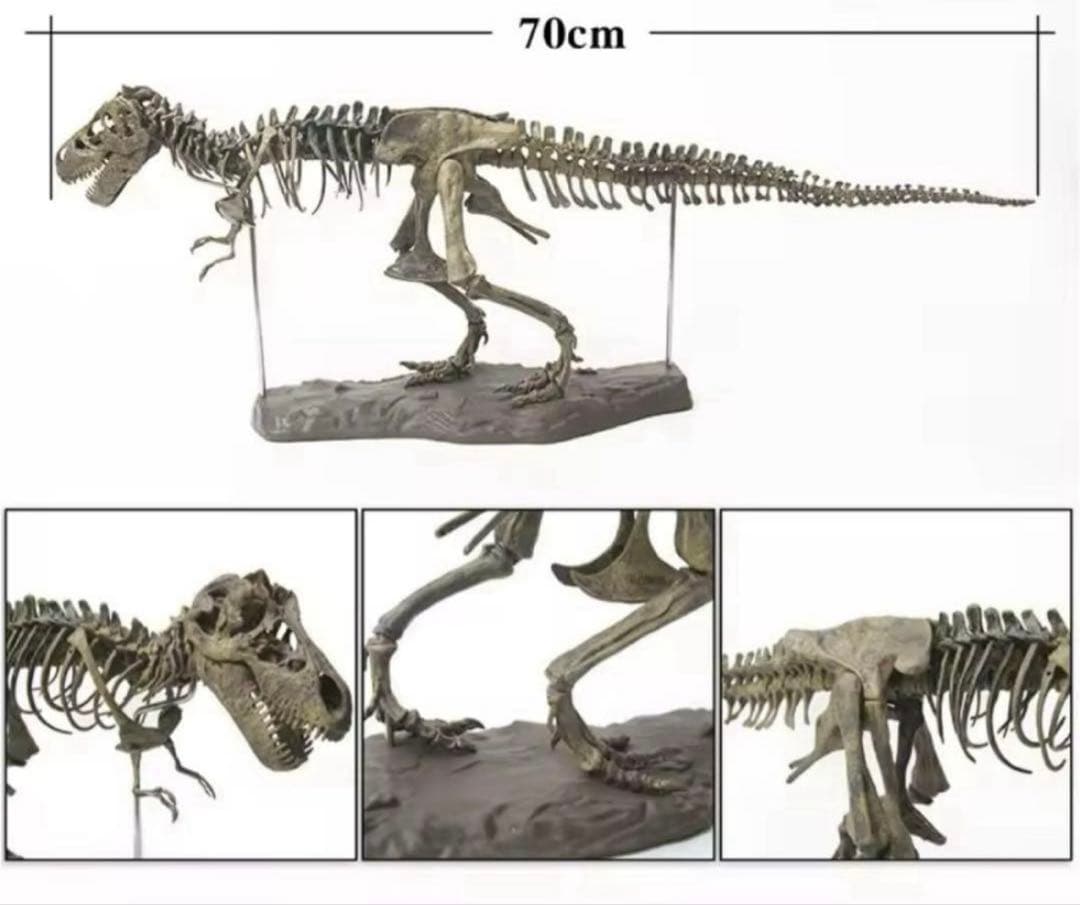 ジュラシックワールド 恐竜 化石 フィギュア。