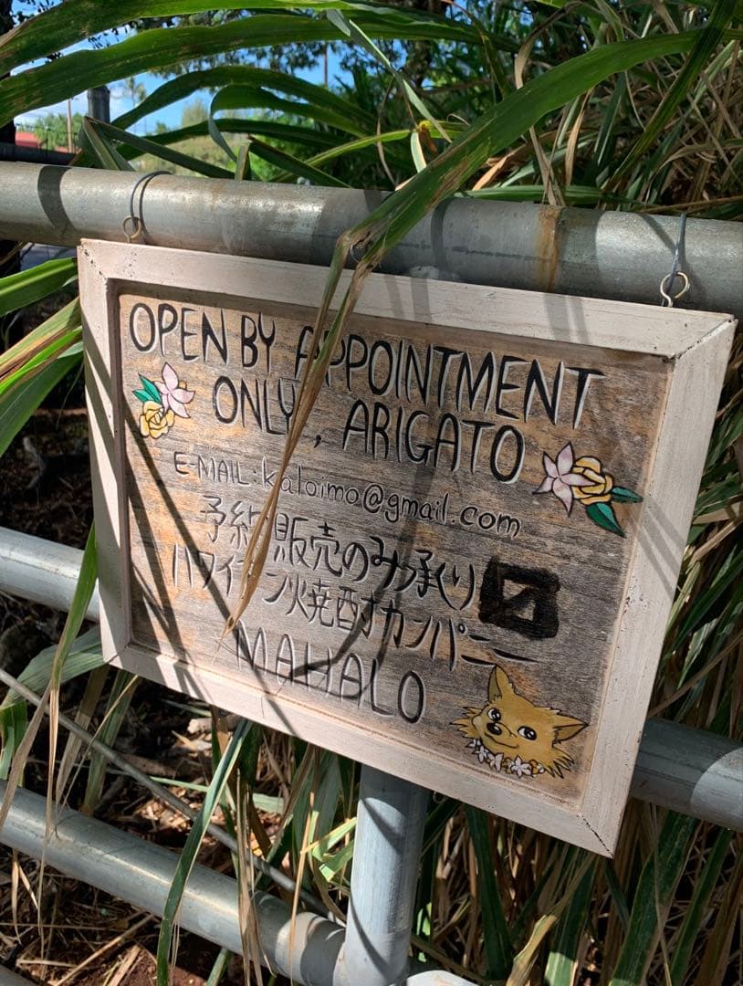 【希少ボトル】浪花 × ハワイ 限定焼酎 バンザイストロング 2019