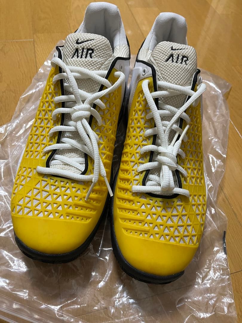 デルポトロ　支給品　シューズ