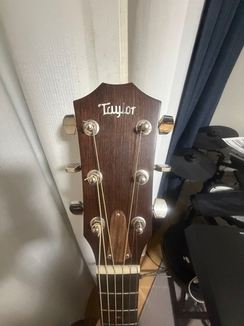 美品Taylor324ce blackwood V-Class 2021