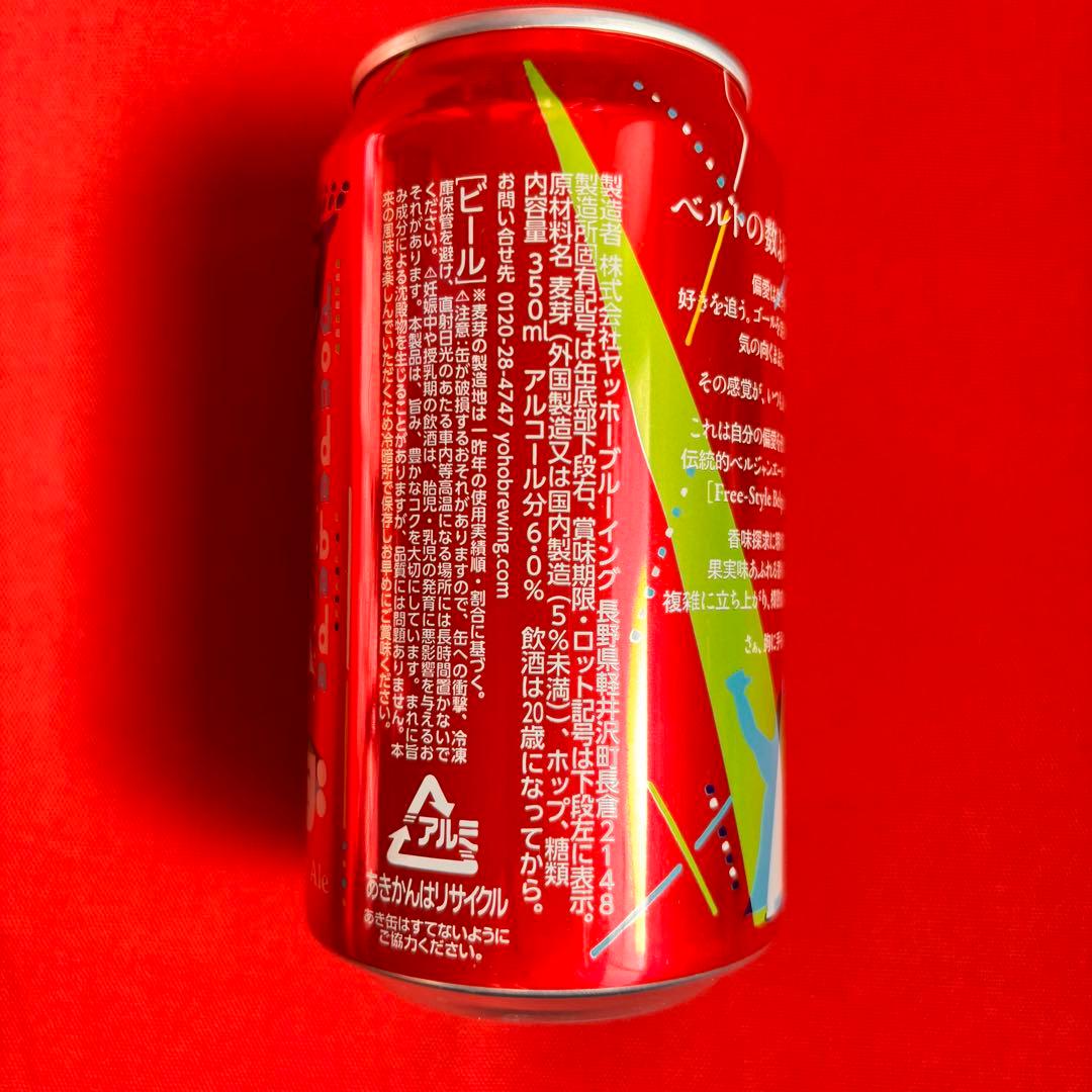 クラフトビール IPA 詰め合わせ 飲みくらべ 31本セット