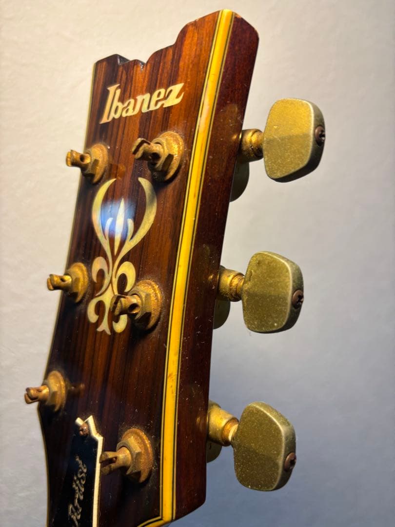 Ibanez アイバニーズ　AR500 the Artist series
