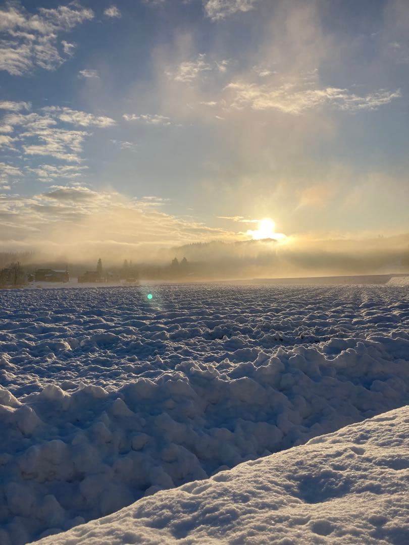魚沼コシヒカリ精米 10kg