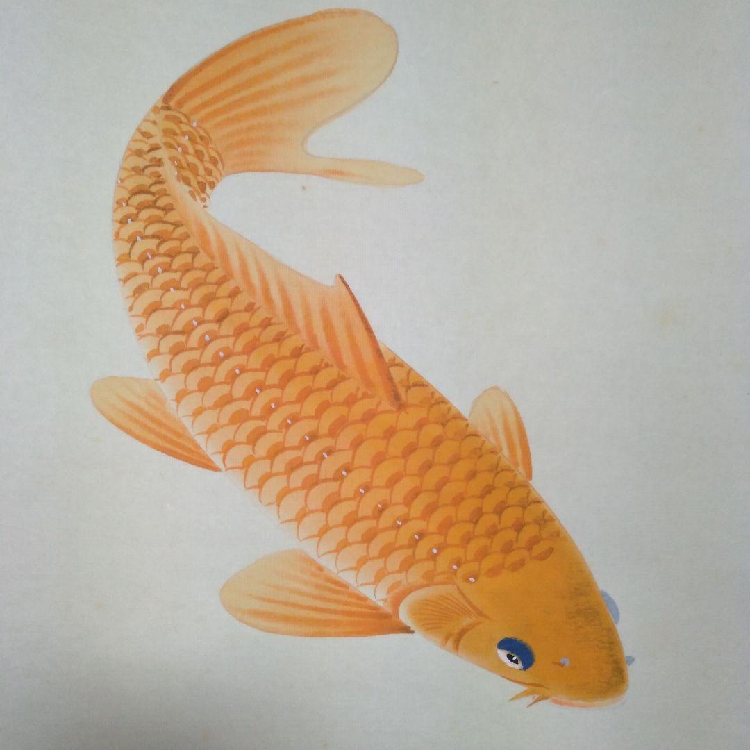 掛け軸　田上芳泉　美術年鑑掲載作家　「遊鯉　二匹鯉」