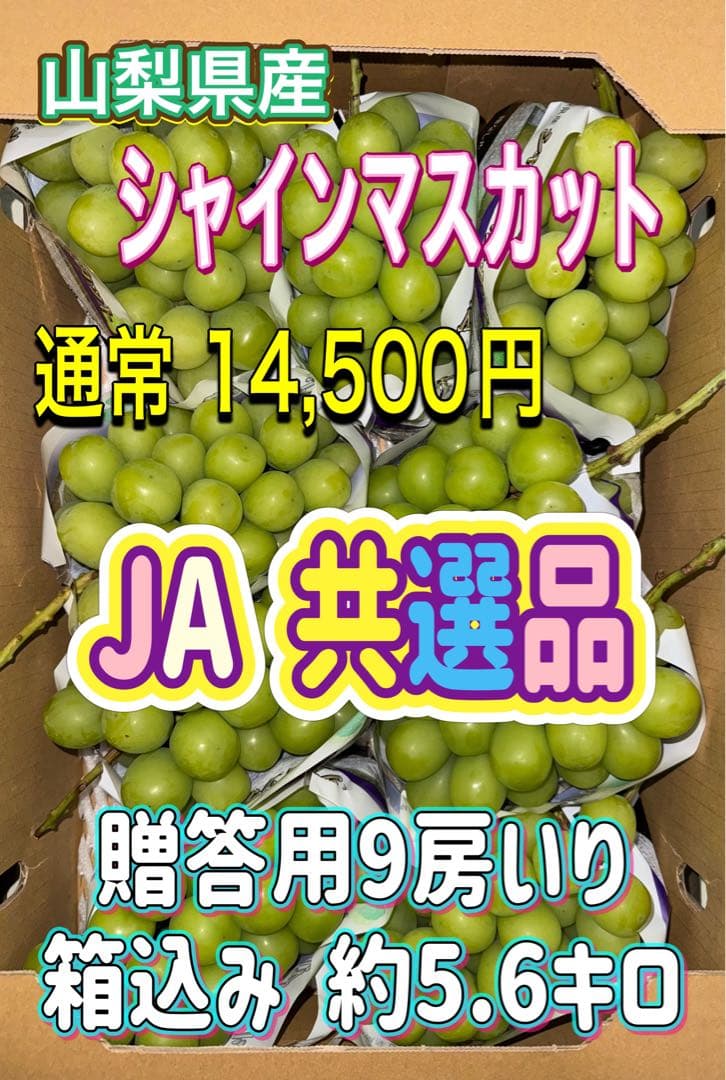 にゃんぺい39⭐️山梨県産JA共選品シャイン⭐️9房入り箱込み約5.6キロ