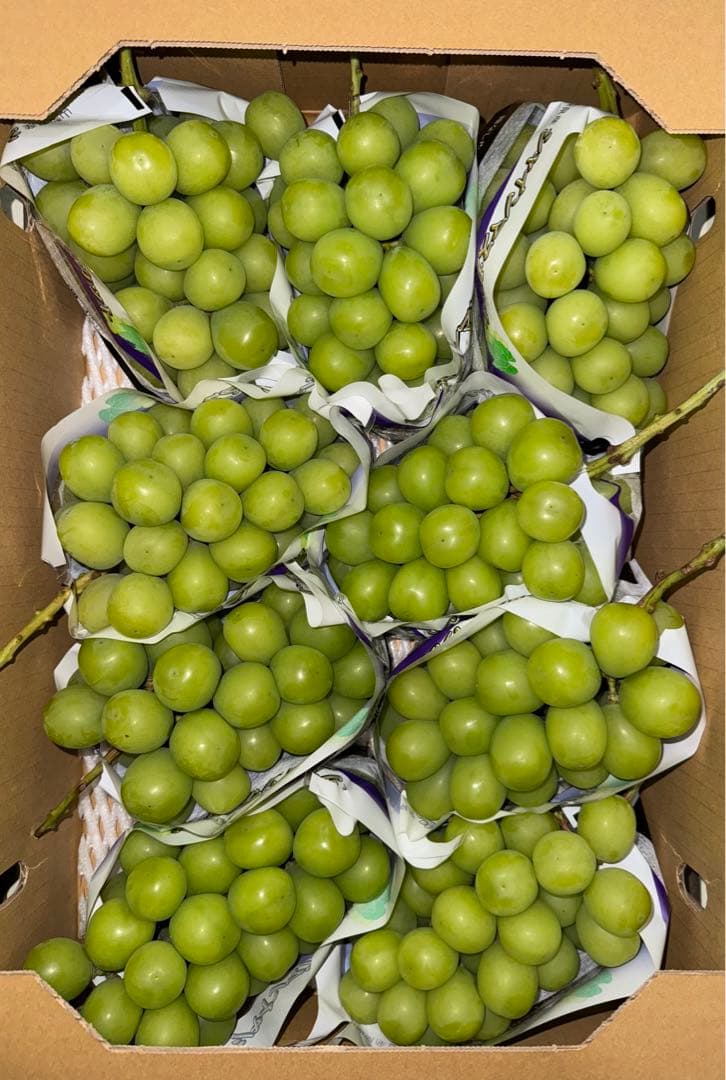 にゃんぺい39⭐️山梨県産JA共選品シャイン⭐️9房入り箱込み約5.6キロ