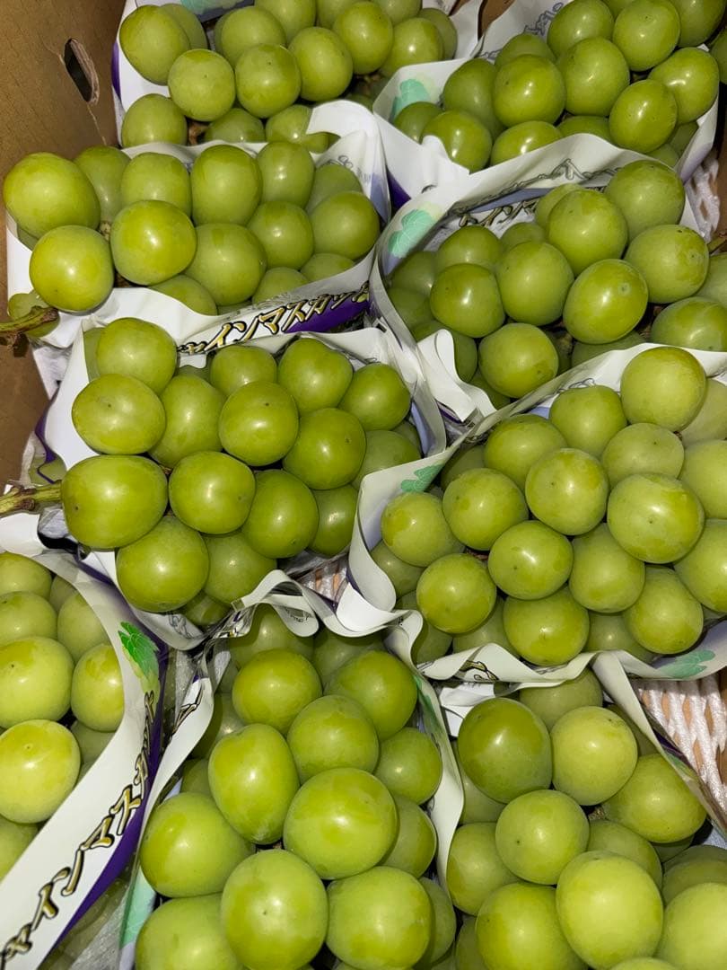 にゃんぺい39⭐️山梨県産JA共選品シャイン⭐️9房入り箱込み約5.6キロ