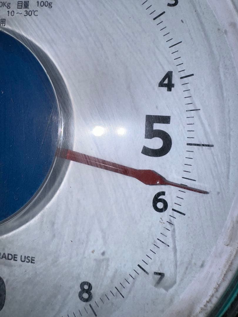 にゃんぺい39⭐️山梨県産JA共選品シャイン⭐️9房入り箱込み約5.6キロ