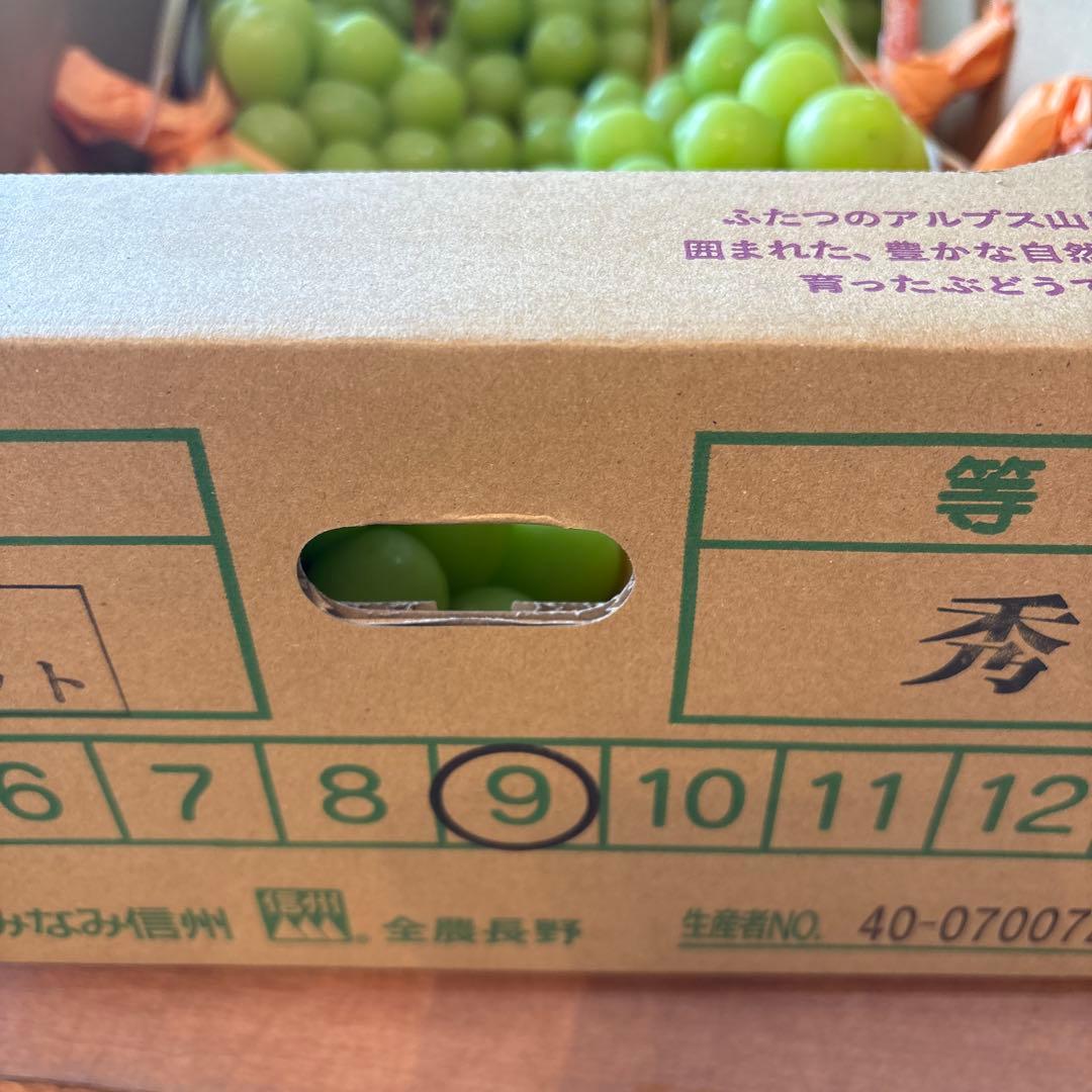 シャインマスカット 秀品9房 5キロ 長野 JAみなみ信州