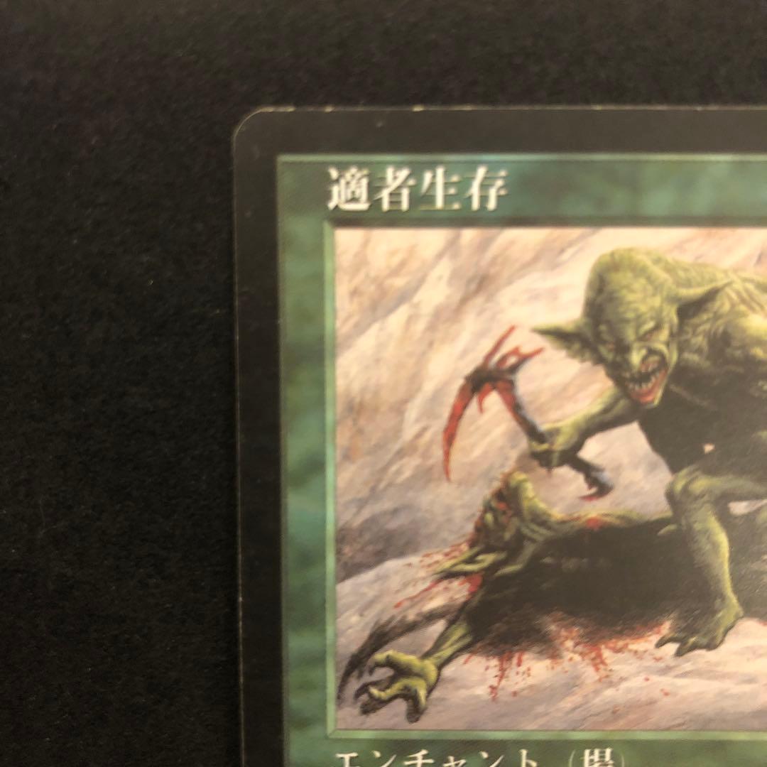 適者生存 / Survival of the Fittest【EXO】日本語版