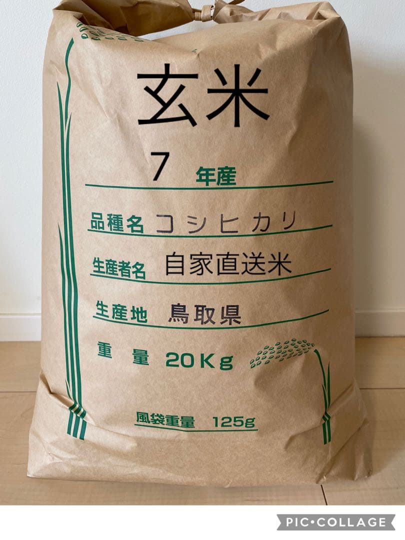 《玄米》 農家直送米　20kg 令和7年　鳥取県産 コシヒカリ《玄米》