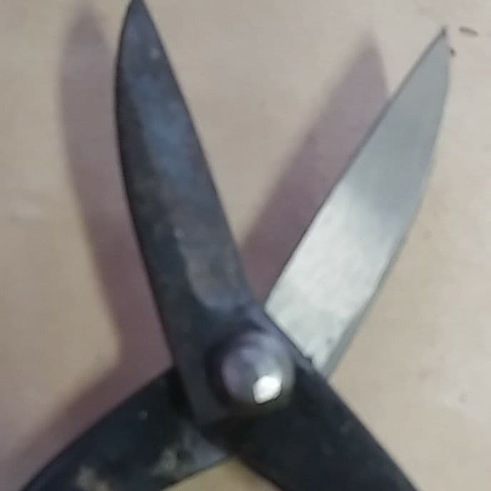 君萬歳久光　直刃 サイズ210