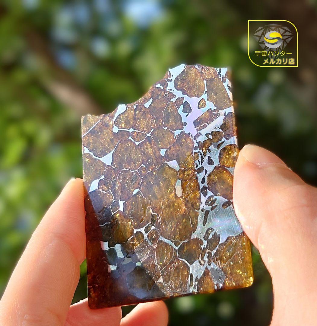 30.2g イミラック パラサイト 隕石 Imilac ⭐⭐