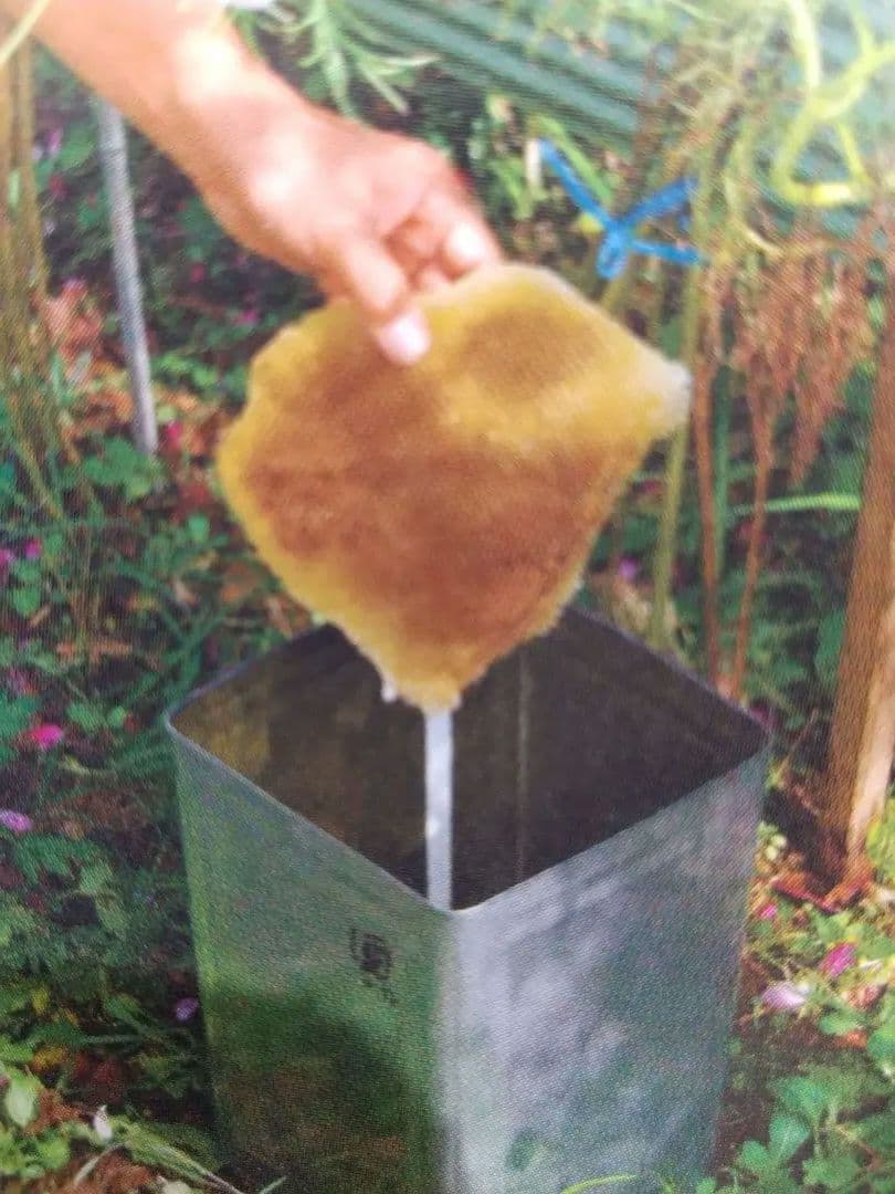 専用に成ります希少！純国産はちみつ鹿児島県南薩摩養蜂園蜂蜜計1kg甑島・喜界島・