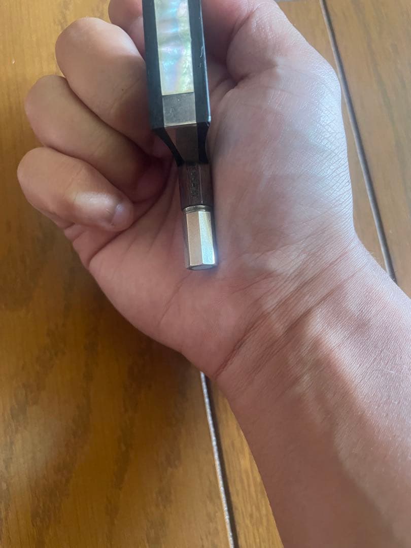 JENS PAULUS (イエンス・パウルス) バイオリン弓　6つ星