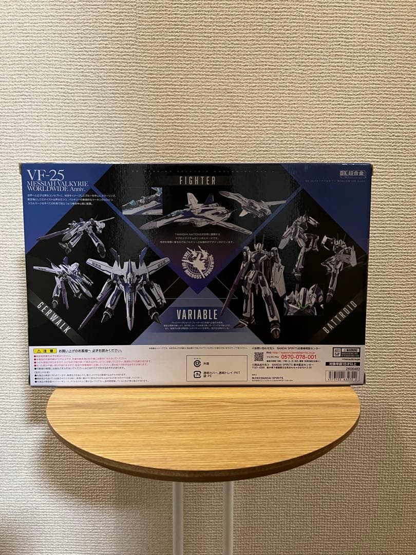 DX 超合金 VF-25 メサイアバルキリー Worldwide Anniv.