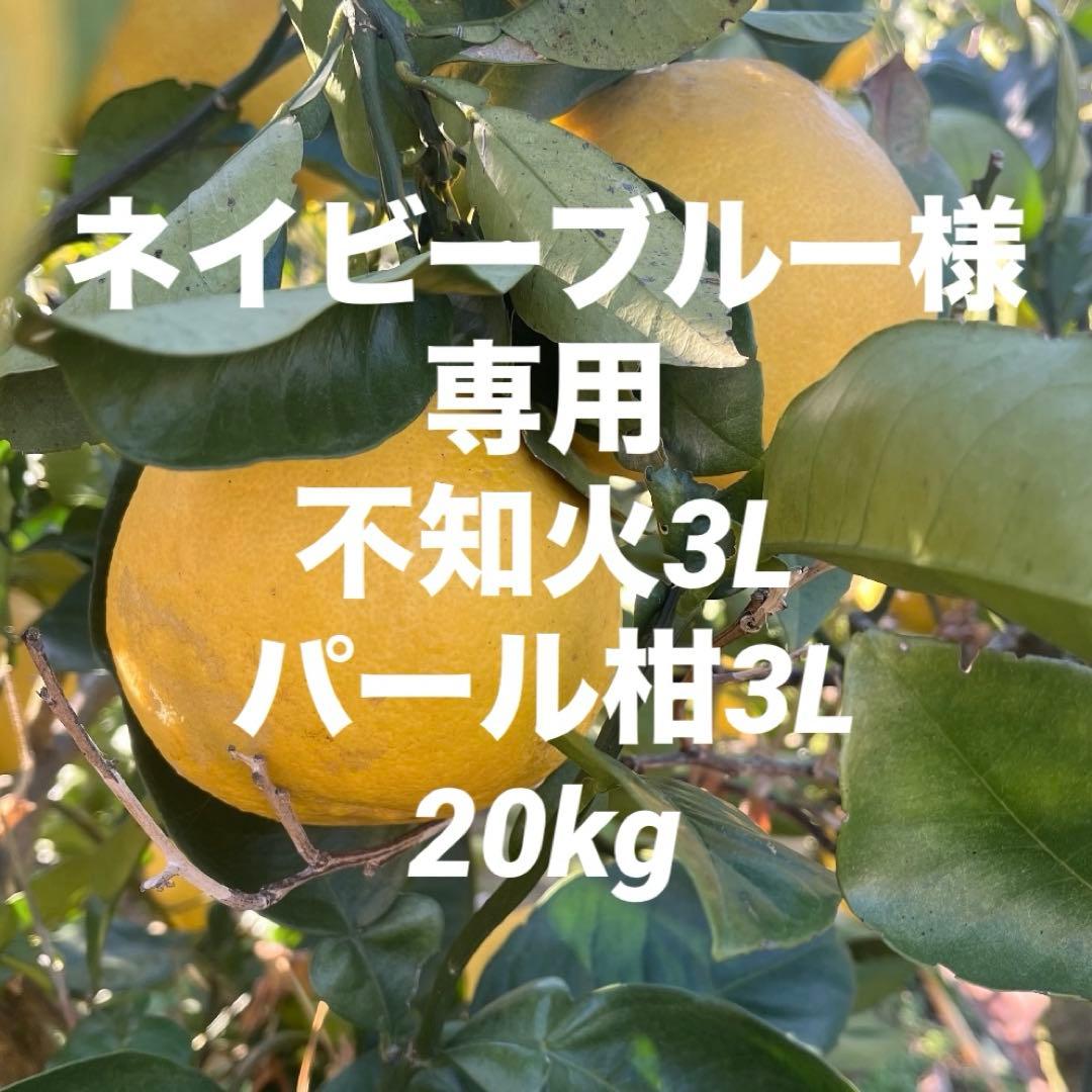 ネイビーブルー不知火3L 10kg.パール柑3L 10kg
