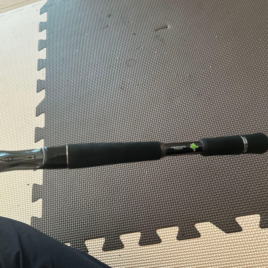 スティーズ　フロッガー