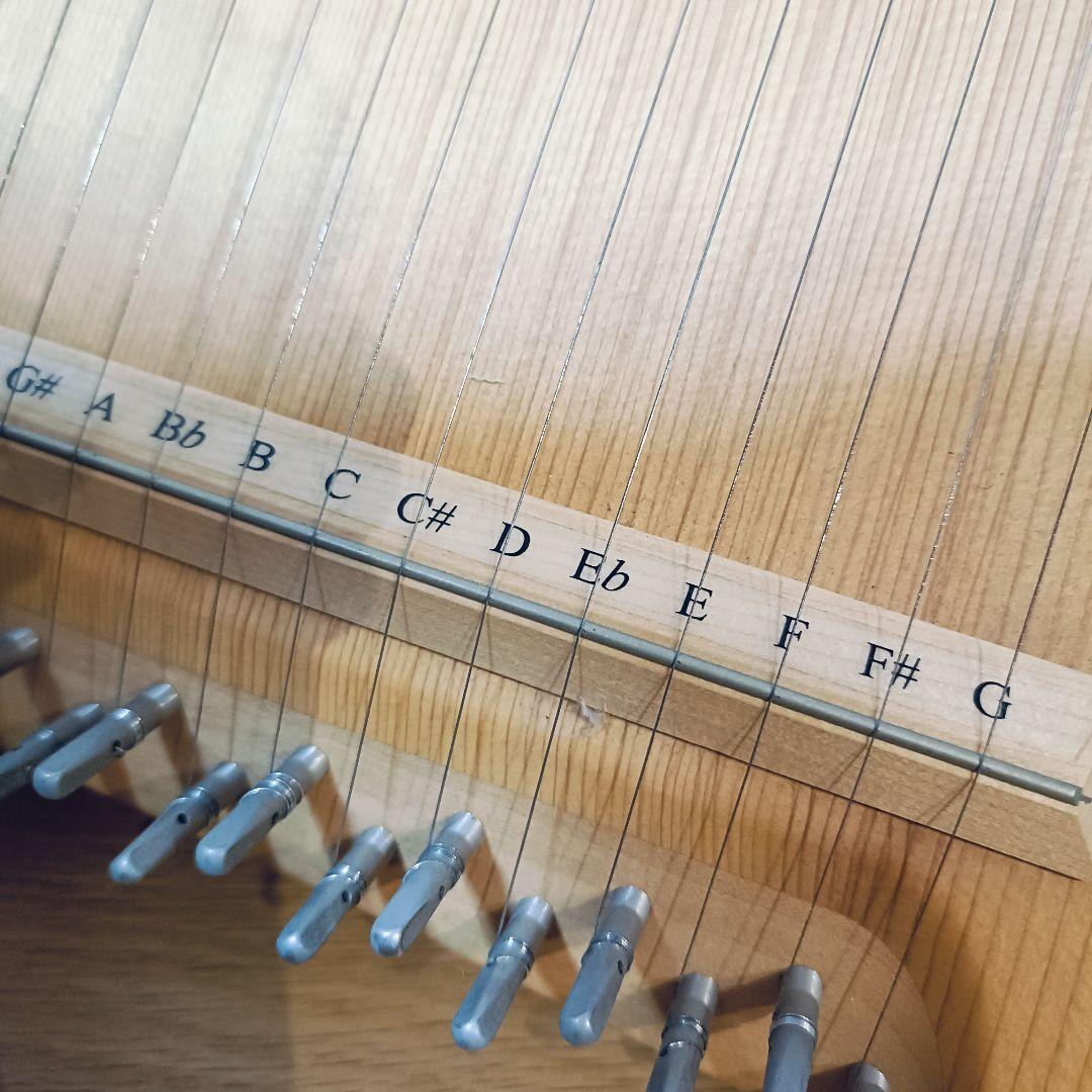 ヘルマンハープ ライアー 25弦　竪琴　DVD 付き　楽器