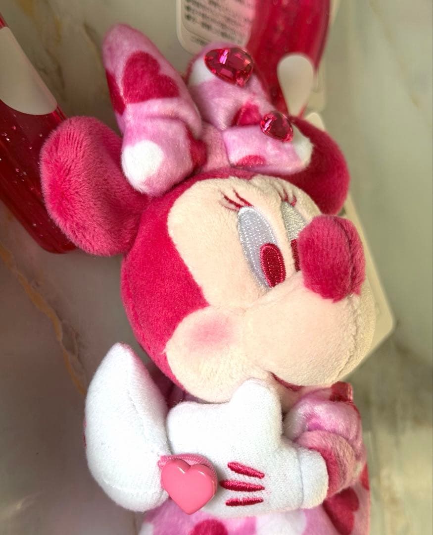 ディズニー　パルパルーザ　ミニー　ファンダーランド　 3点セット　新品