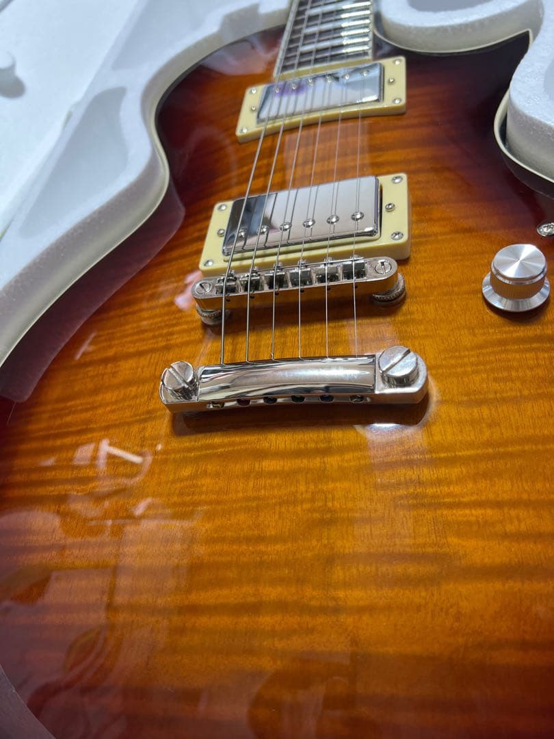 EART EGLP-620 ステンレスフレット