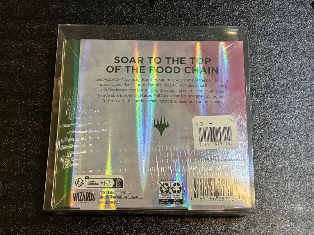 マジックザギャザリング　 ブルームバロウ コレクター ブースター　英語版　BOX