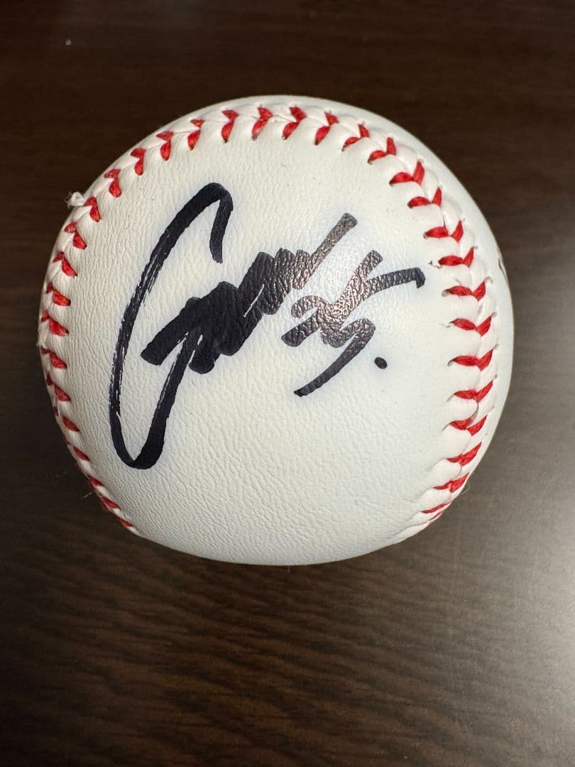 【希少】横浜DeNAベイスターズ 2014年開幕スタメンサイン入りボールセット