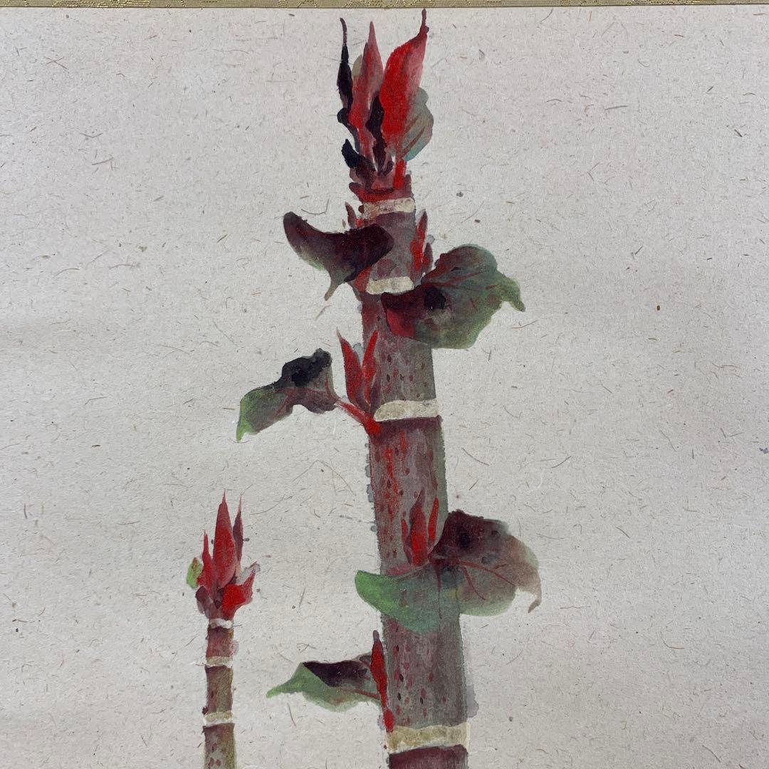 美品 掛け軸 久芳道信作 虎杖(いたどり)図 花鳥 共箱 二重箱 美術年鑑掲載