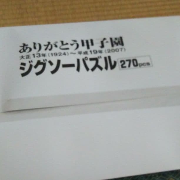 【激レア】ありがとう甲子園 ジグソーパズル 270