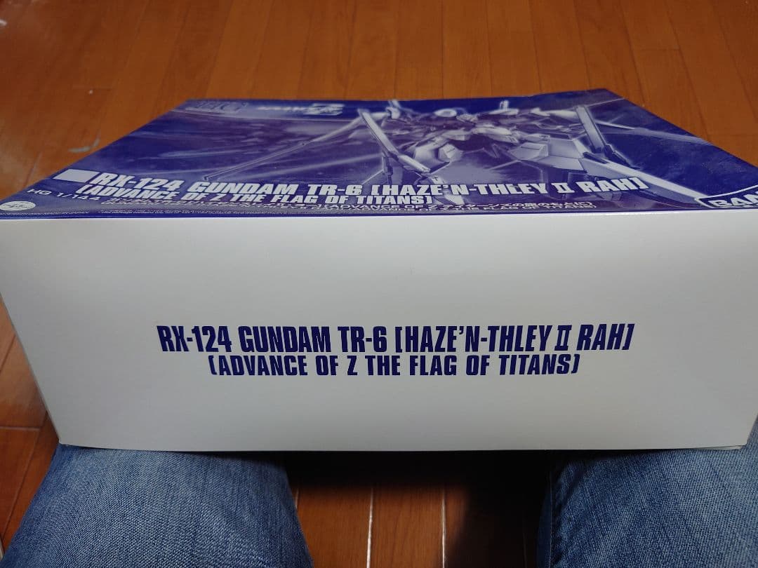 ロボット RX-124 GUNDAM TR-6 [HAZE'N THLEY II RAH]