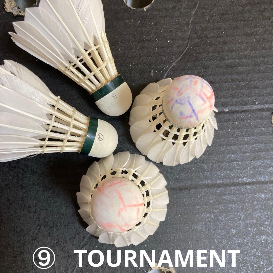 ゆうみさん確認用