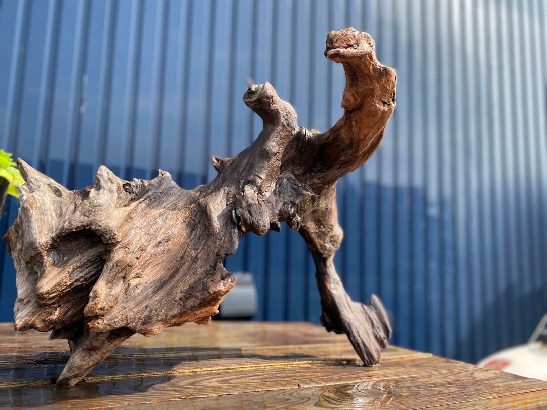 流木 大サイズ A800 ホーンウッド