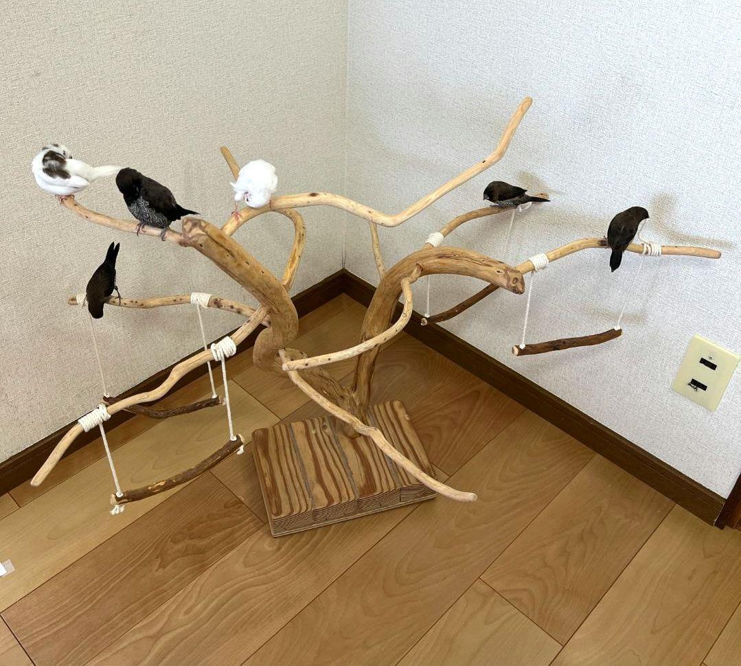 【小鳥用】ブランコ付くねくねバードアスレチック