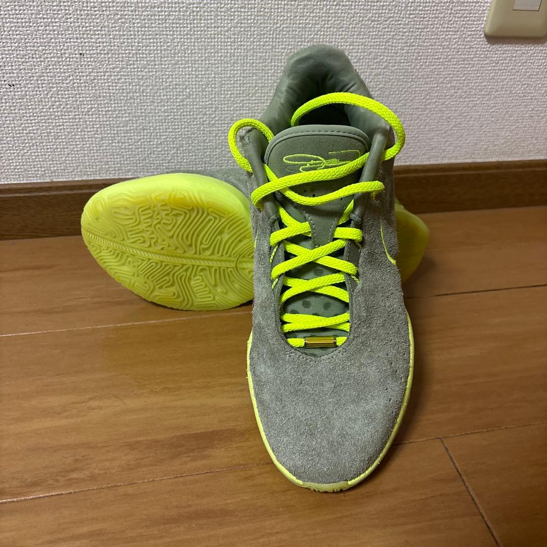 NIKE Lebron XXⅠ Algae ナイキレブロン21アルジー27cm