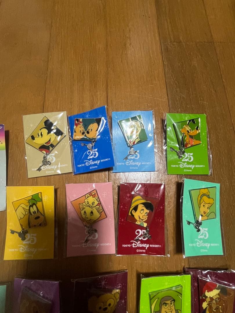 東京ディズニーリゾート 25周年 ピンバッジセット