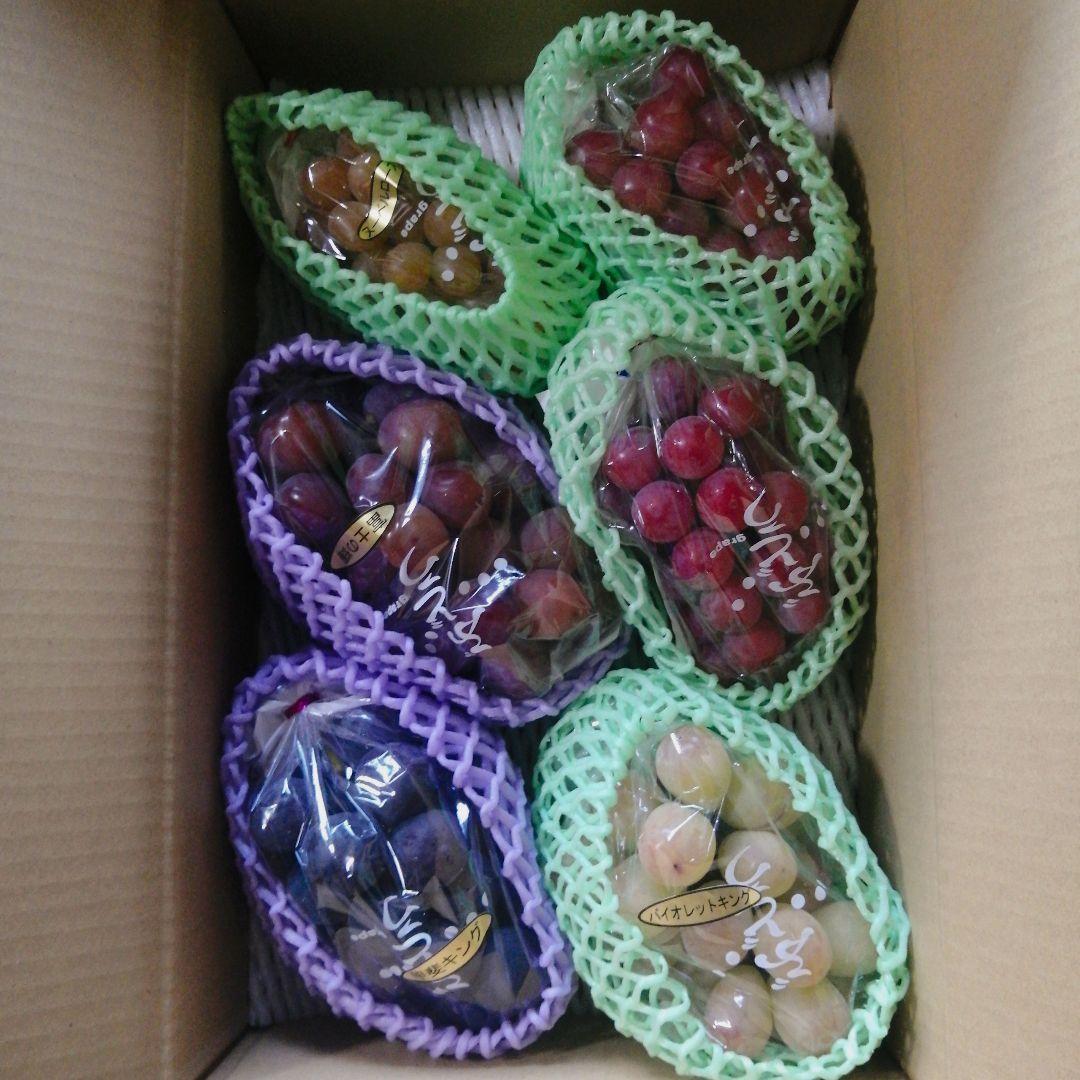 minion5様　御注文のお品物　彩り葡萄　6品種　4kg箱