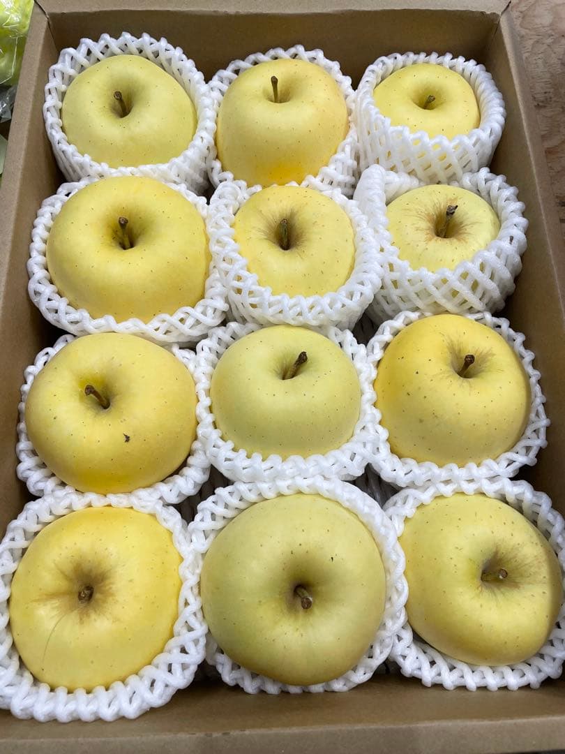 山形県産追熟自家用はるか約3.2キロ✖️3 （約10キロ弱）