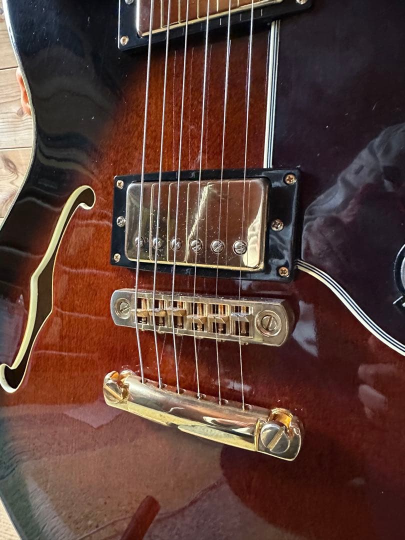 519rinrinpark ！Epiphone Sheraton