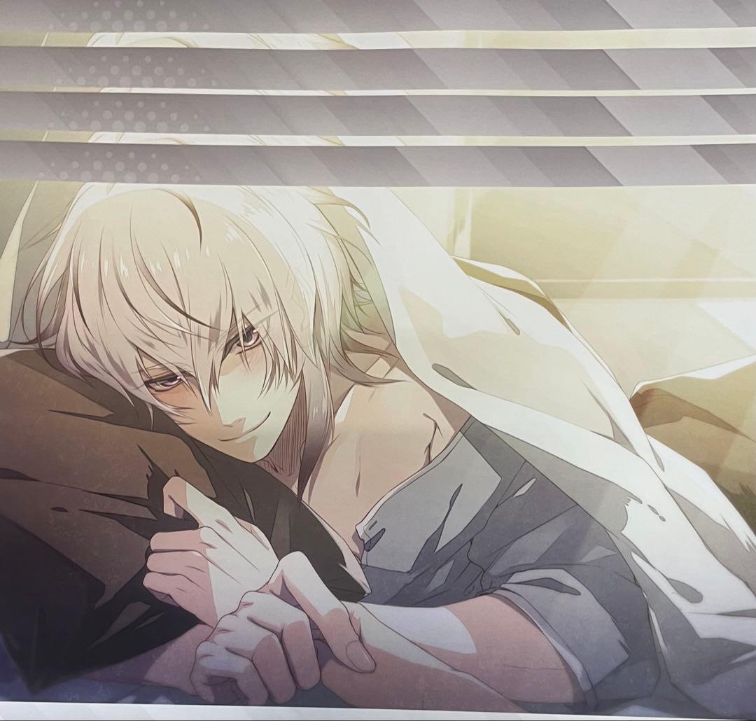 カラマリ ランチョン 岡崎 12枚 まとめ売り